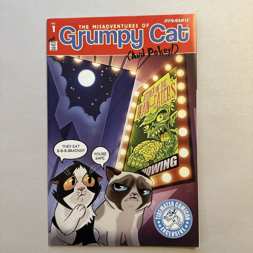 THE MISADVENTURES OF GRUMPY CAT (AND POKEY) NO 1 COMIC BOOK